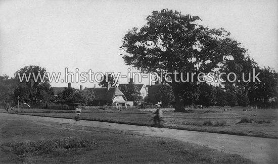 The Village, Hatfield Heath, Essex. c.1915
